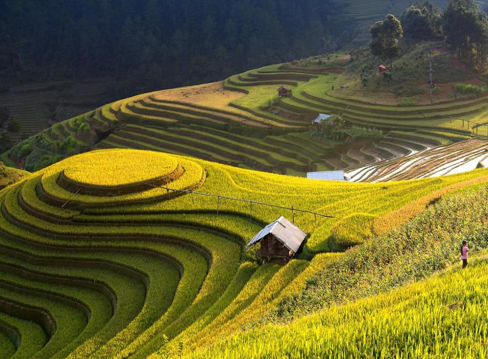 Tham gia bình chọn giải thưởng Du lịch Thế giới “ Hà Giang - Điểm đến Văn hóa khu vực hàng đầu Châu Á năm 2024”